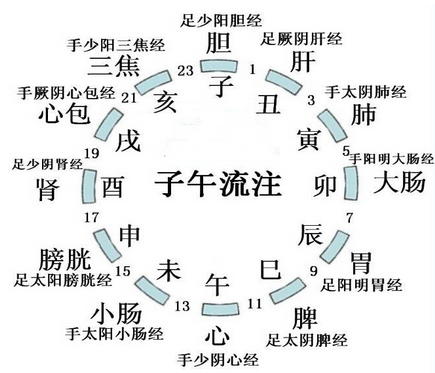 子午流注圖